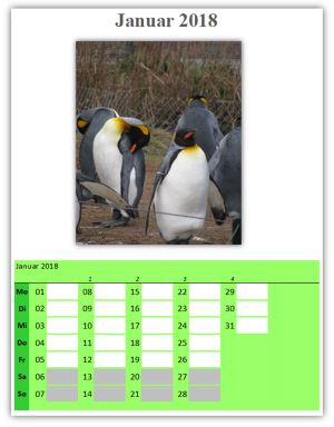 Fotokalender 2018 selbst erstellen