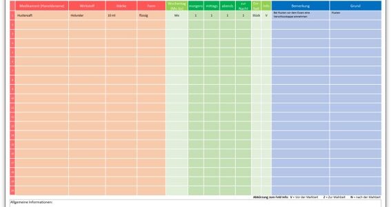 Medikamentenplan Vorlage für Excel und als PDF